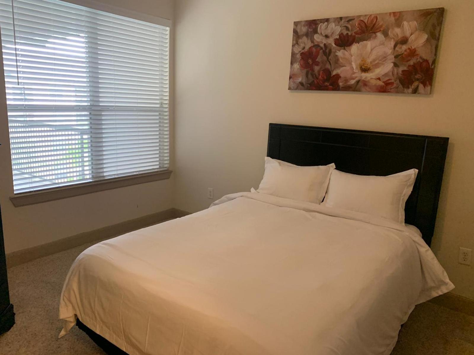 Gorgeous Furnished Apartments Near Texas Medical Center & Nrg Stadium Houston Pokoj fotografie