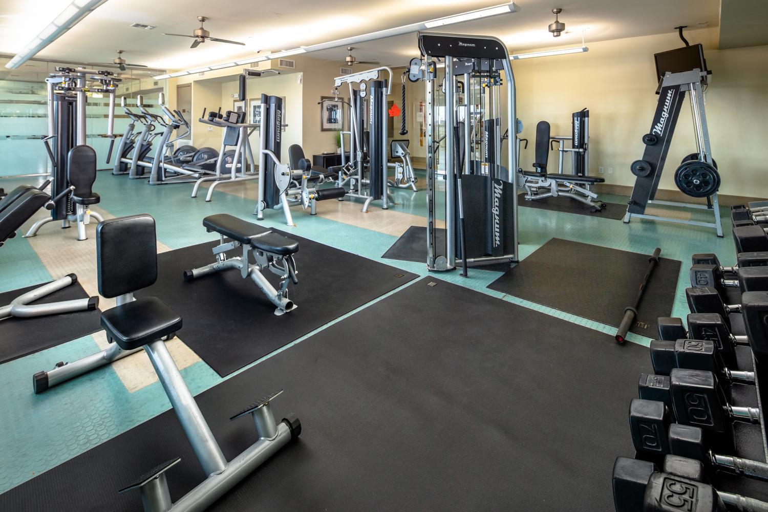 Gorgeous Furnished Apartments Near Texas Medical Center & Nrg Stadium Houston Exteriér fotografie