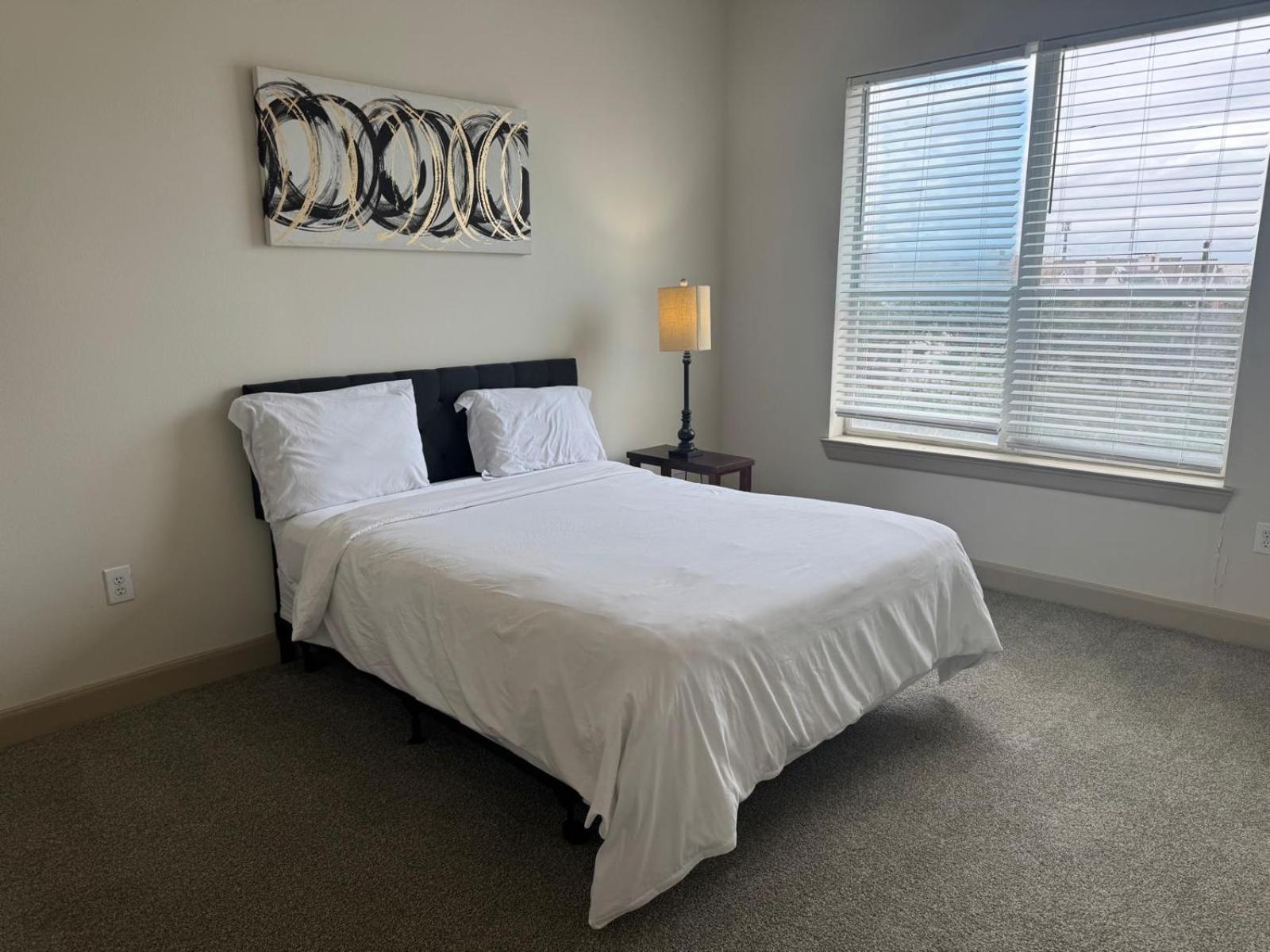 Gorgeous Furnished Apartments Near Texas Medical Center & Nrg Stadium Houston Pokoj fotografie