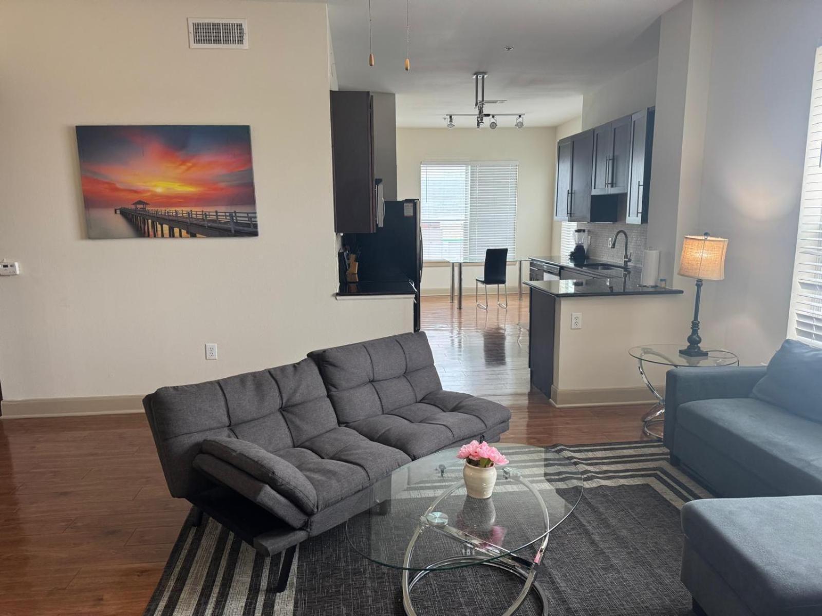 Gorgeous Furnished Apartments Near Texas Medical Center & Nrg Stadium Houston Pokoj fotografie